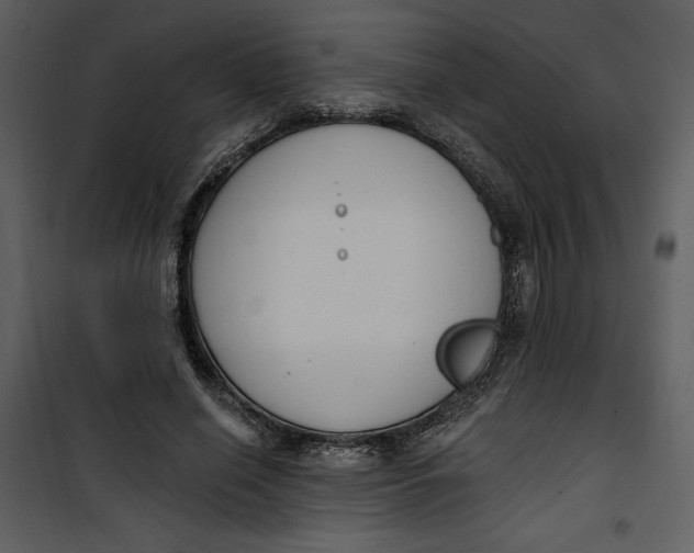 X0000101230638200807181604