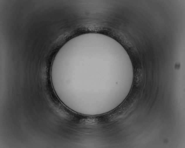 X0000101230639200807181604