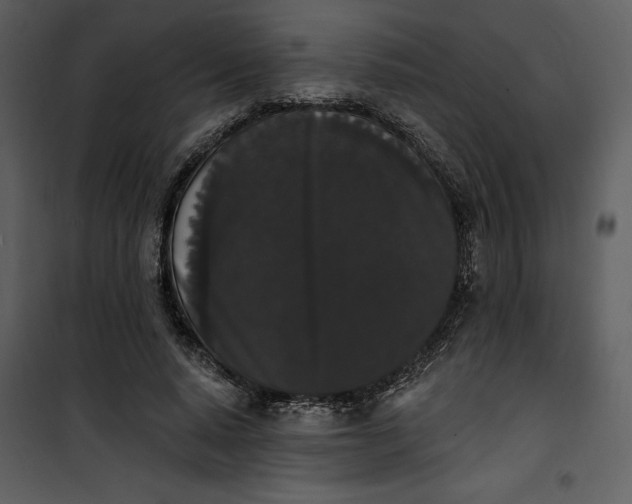 X0000101230640200807181604