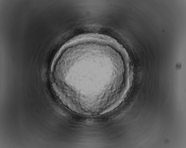 X0000101230641200807181604