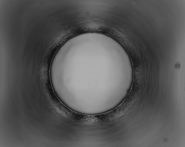 X0000101230642200807181604