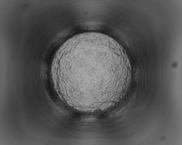 X0000101230643200807181604