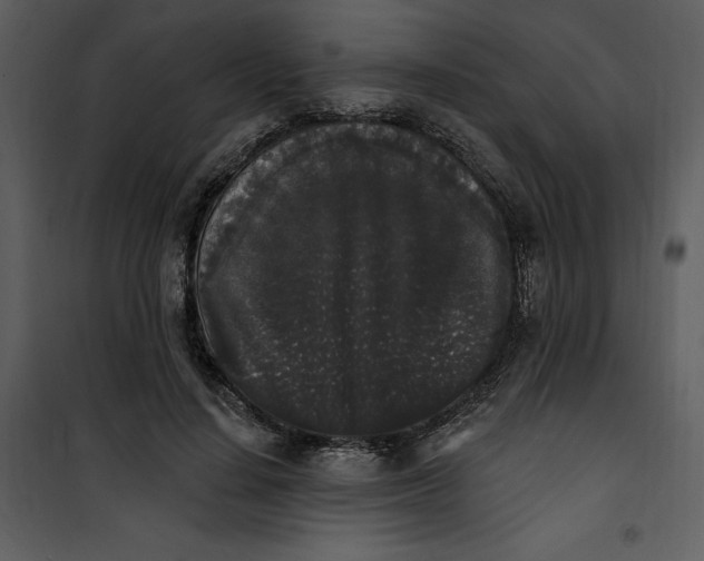 X0000101230644200807181604