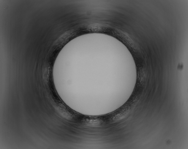 X0000101230645200807181604