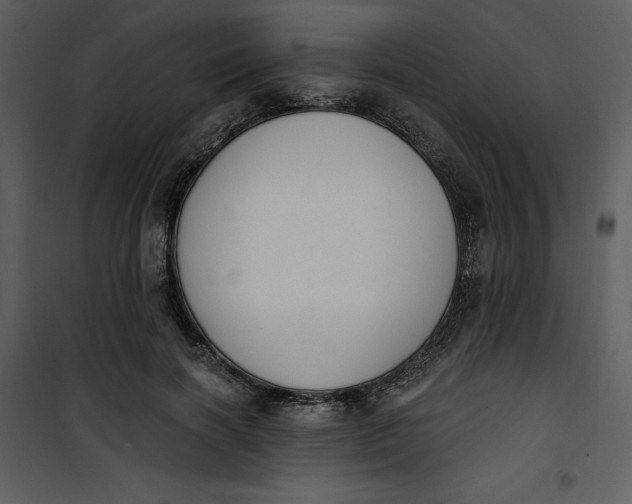 X0000101230646200807181604