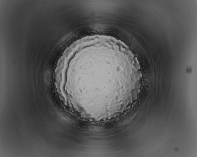 X0000101230648200807181604