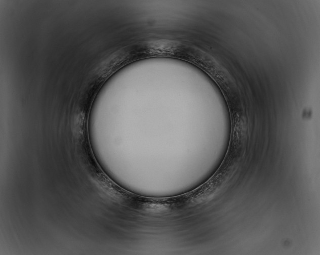 X0000101230649200807181604