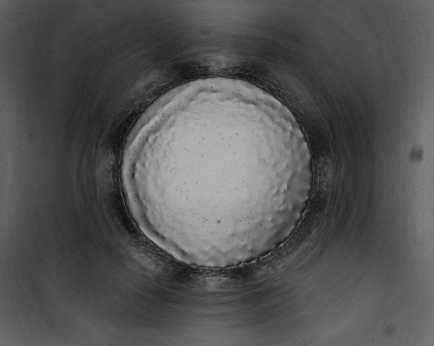 X0000101230650200807181604