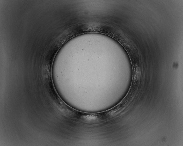 X0000101230651200807181604