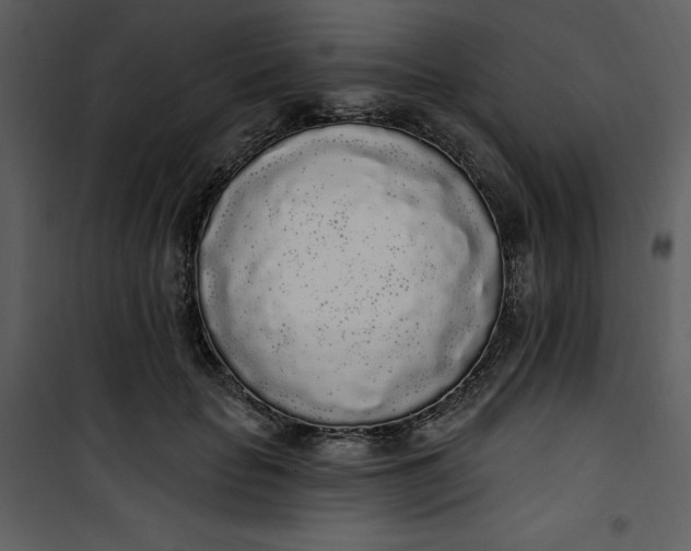 X0000101230653200807181604