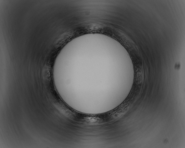 X0000101230654200807181604