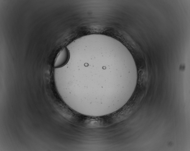 X0000101230655200807181604