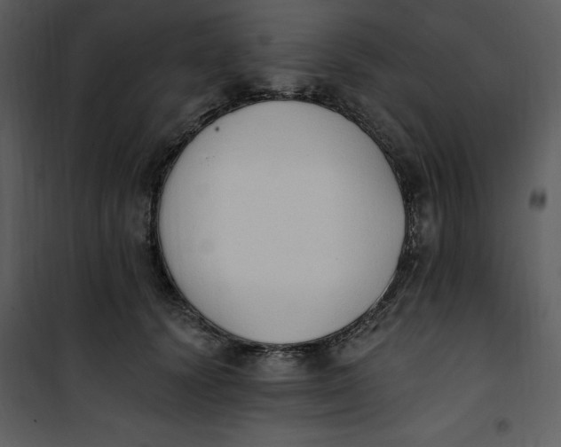 X0000101230656200807181604