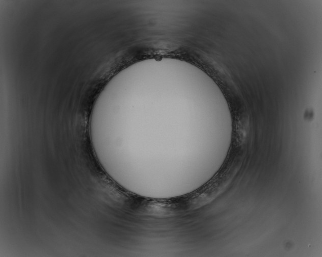 X0000101230657200807181604