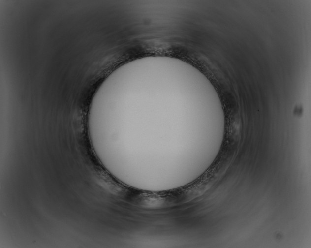 X0000101230658200807181604