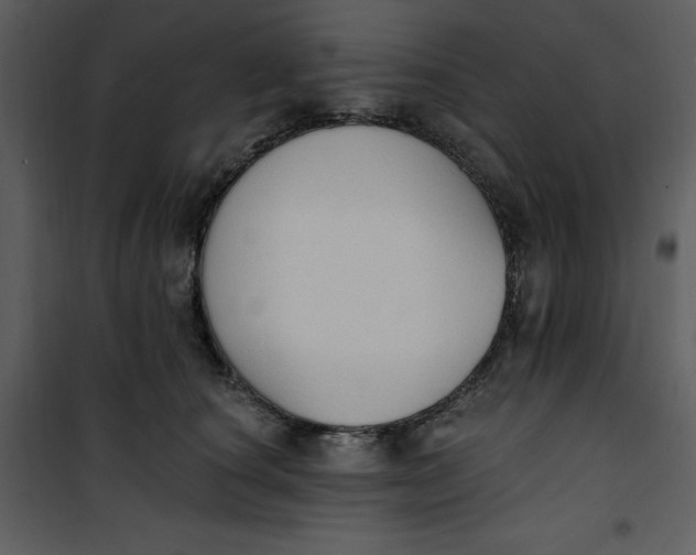 X0000101230660200807181604