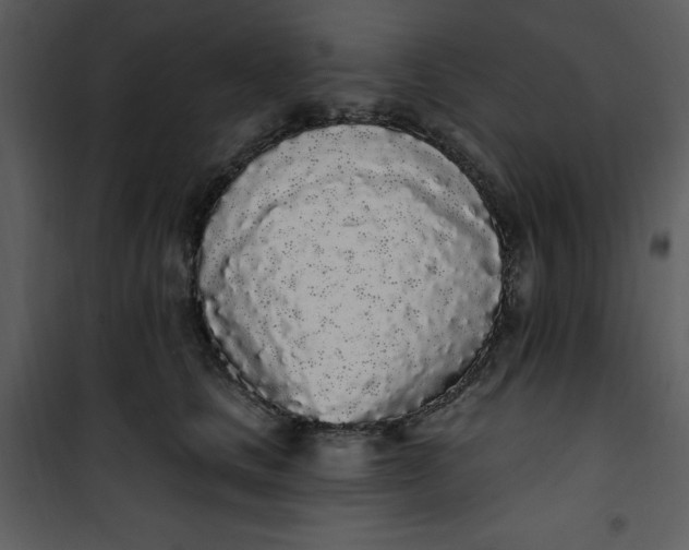 X0000101230661200807181604