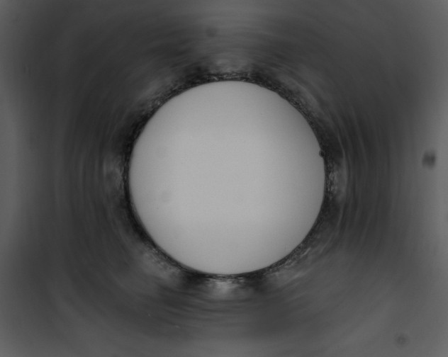 X0000101230662200807181604