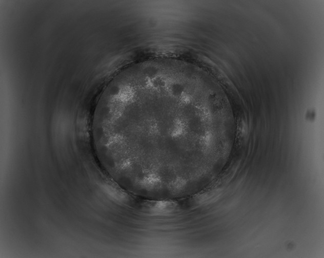 X0000101230663200807181604