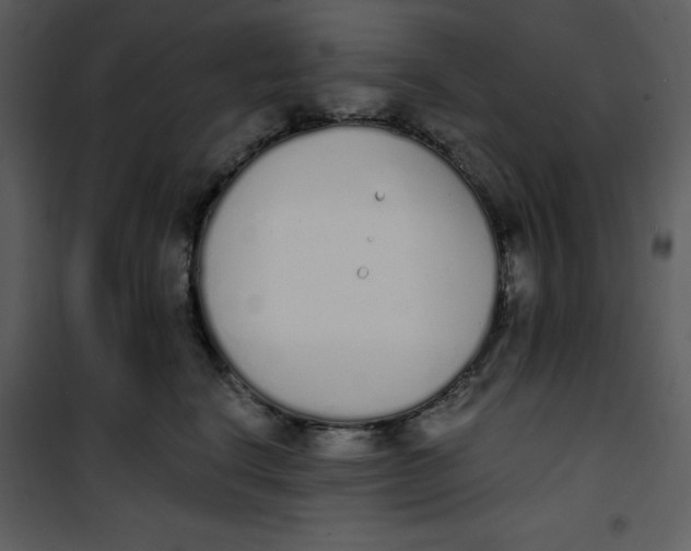 X0000101230664200807181604