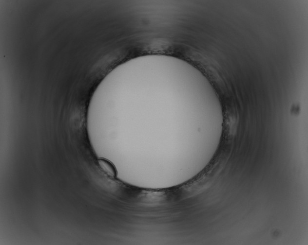 X0000101230665200807181604