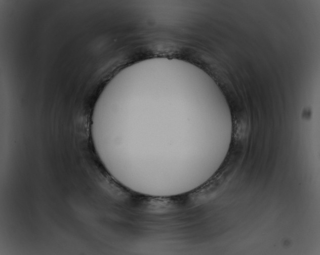 X0000101230666200807181604