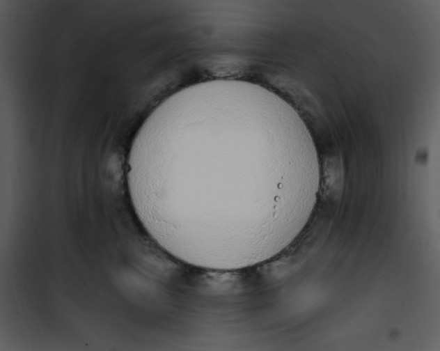 X0000101230667200807181604