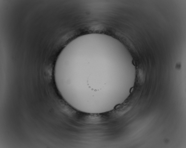 X0000101230668200807181604