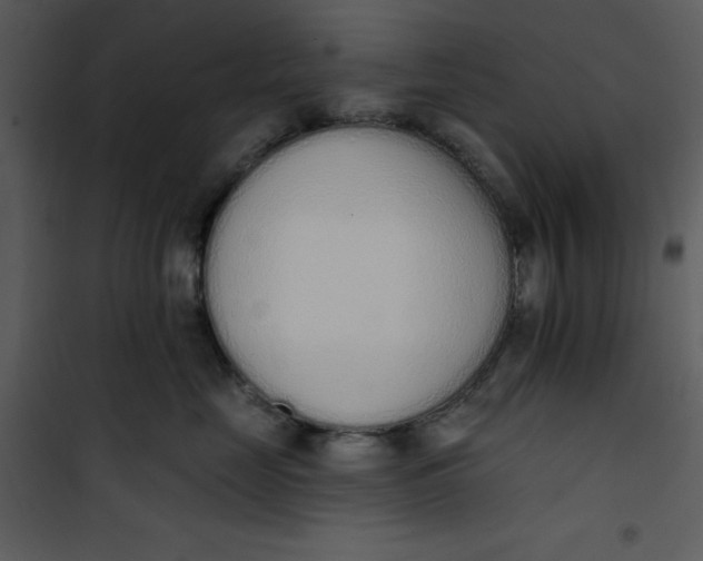 X0000101230669200807181604