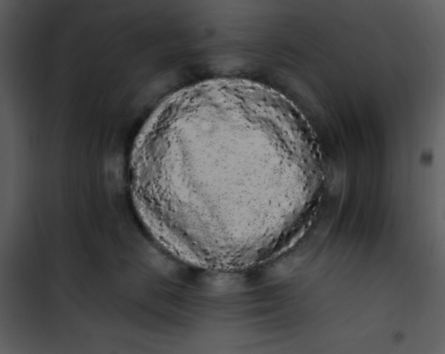 X0000101230670200807181604