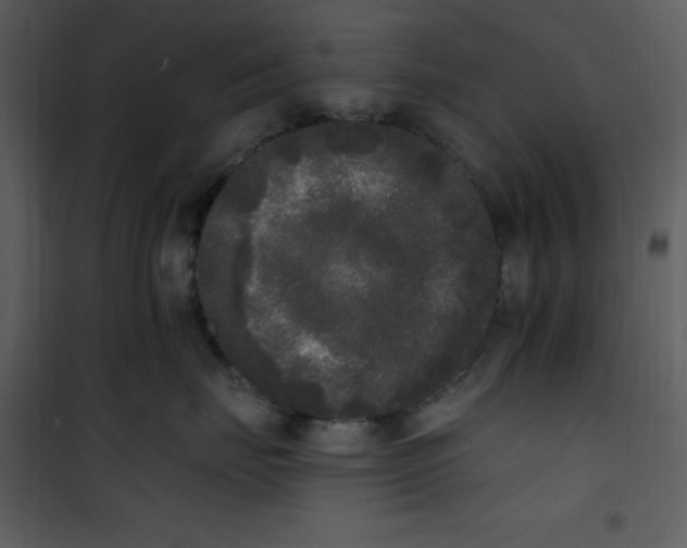 X0000101230671200807181604