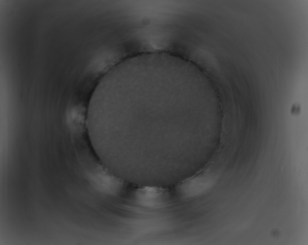 X0000101230672200807181604