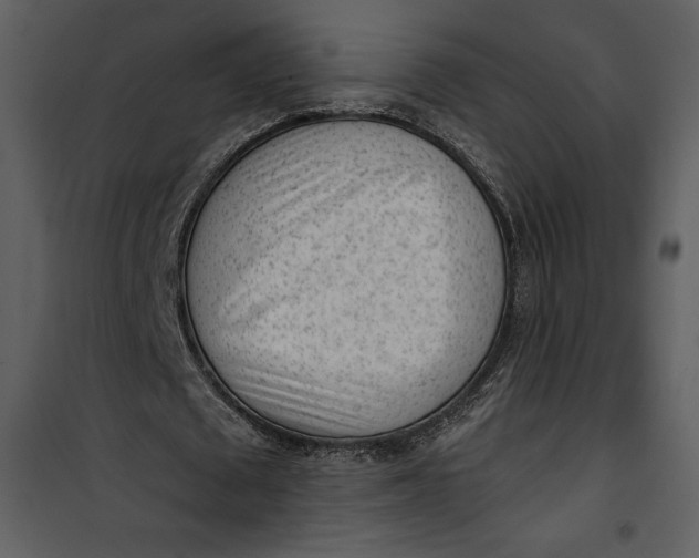 X0000101230673200807181603