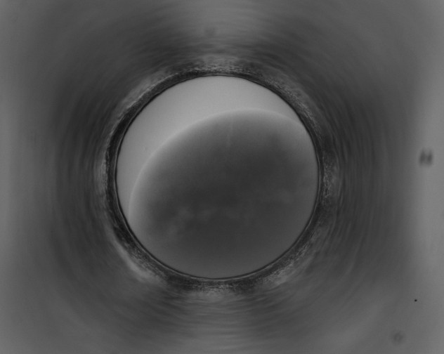 X0000101230674200807181603