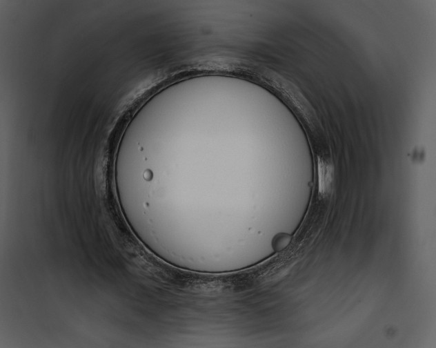 X0000101230675200807181603