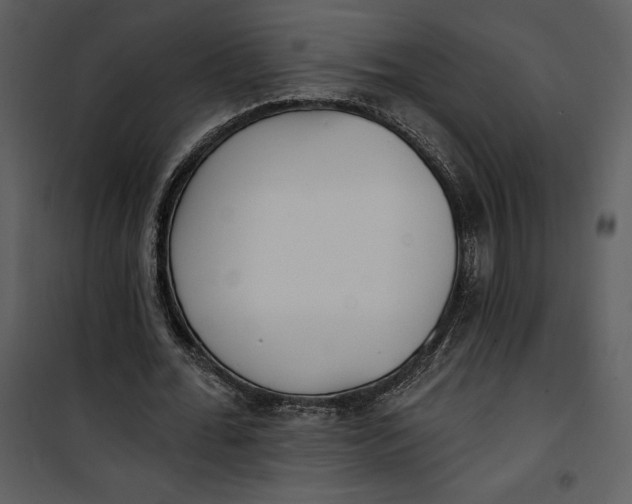 X0000101230676200807181603