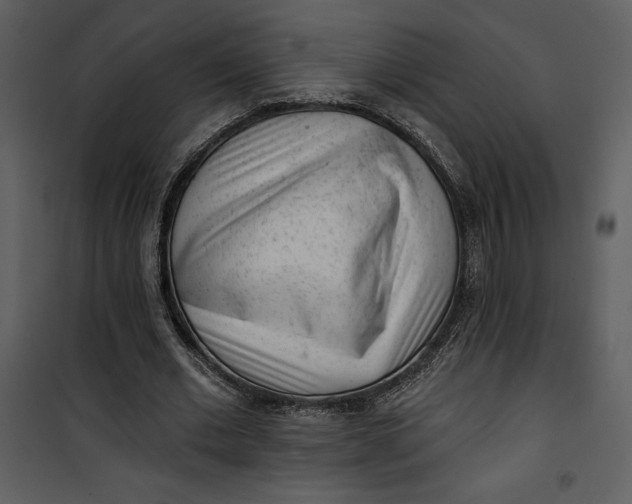 X0000101230677200807181603