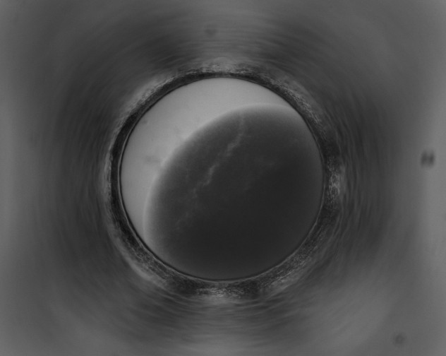 X0000101230678200807181603