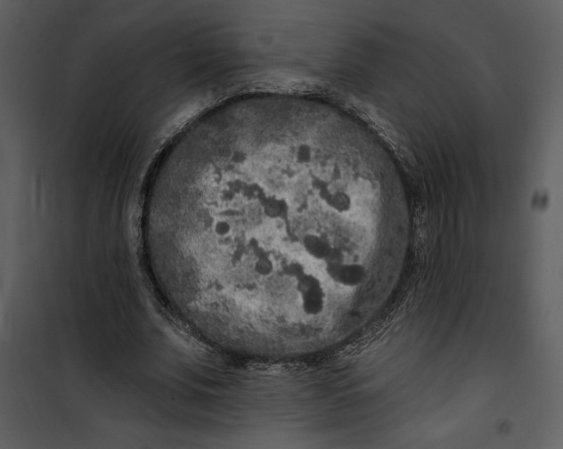 X0000101230679200807181603