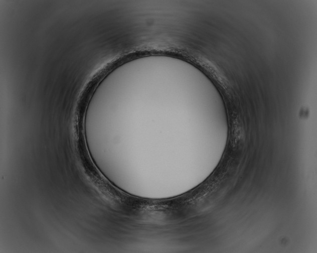 X0000101230680200807181603