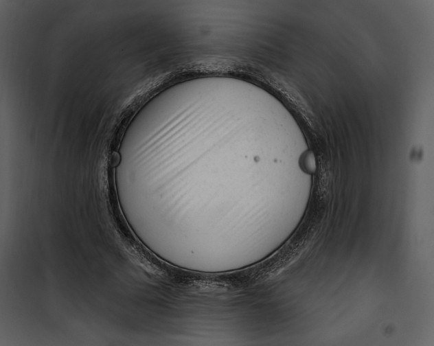 X0000101230681200807181603