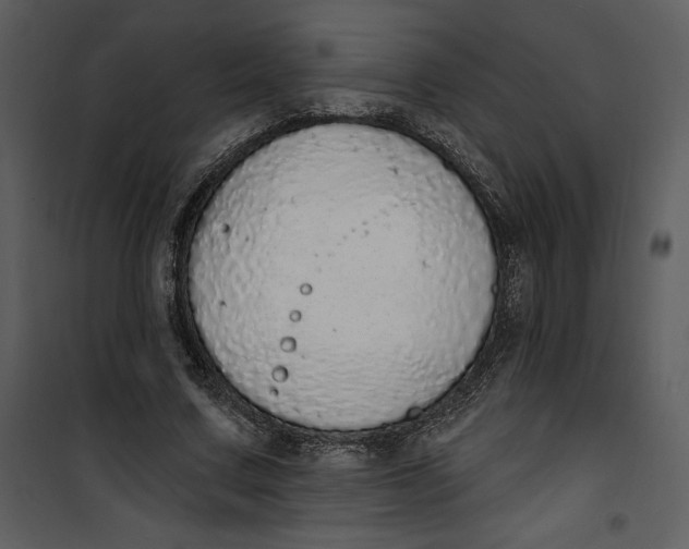 X0000101230683200807181603