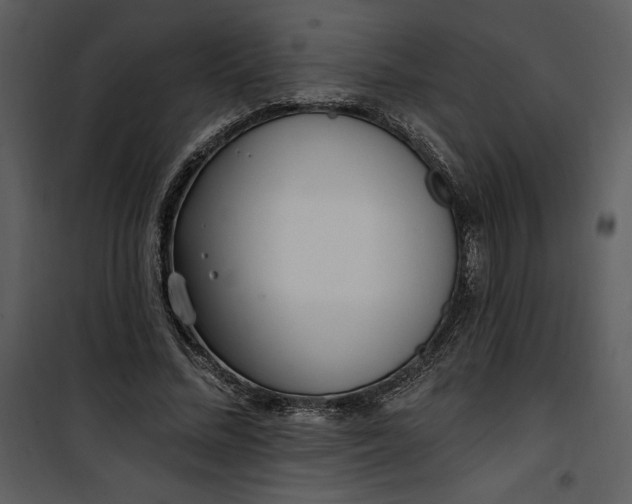 X0000101230684200807181603