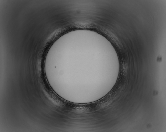 X0000101230686200807181603