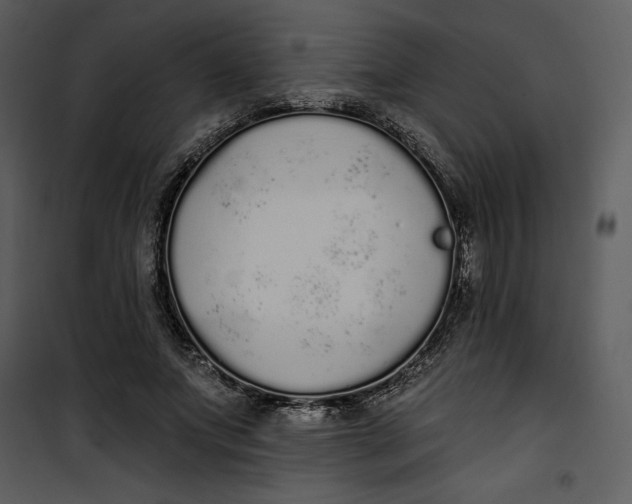 X0000101230687200807181603