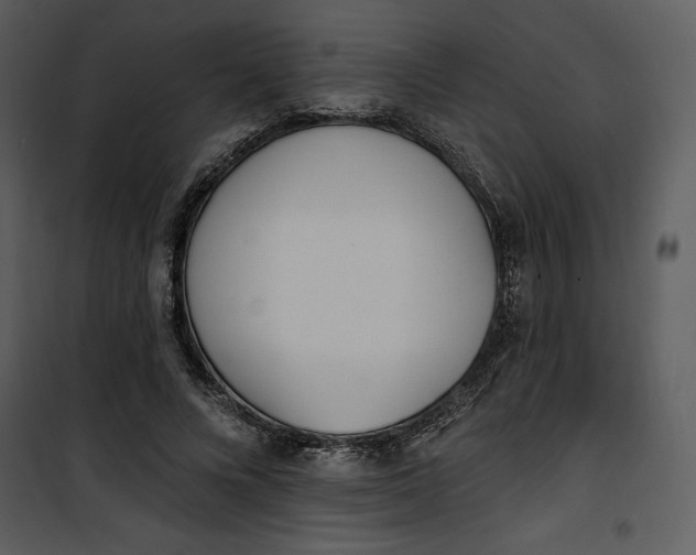 X0000101230688200807181603