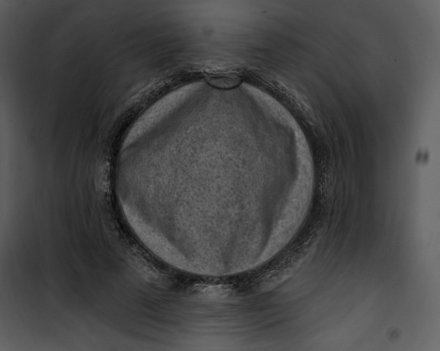 X0000101230689200807181603