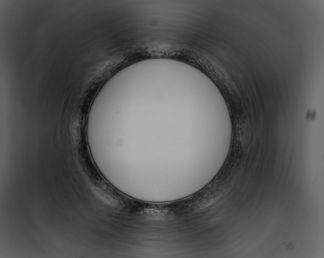 X0000101230690200807181603