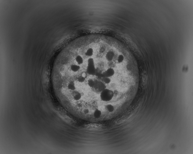 X0000101230691200807181603