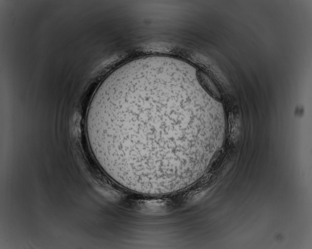 X0000101230692200807181603